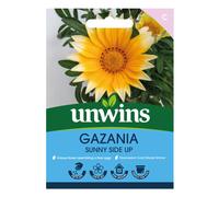 Gazania Sunny Side Up