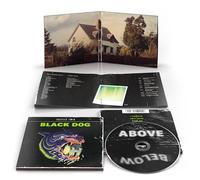 Gazelle Twin - Black Dog