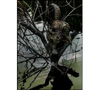 Gazette - Live Tour 13-14 Magnificent Malformed Box Final Coda Live At 01.11 Yokohama Arena (2DVDS) [Japan LTD DVD] SRBL-1621