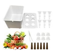 Gazocua Hydroponic Propagation Box, Beginner-Friendly Equipment, Indoor Hydroponics Plant and Growing Set, for Salad, Balcony, Parterre, Hotel and Apartment