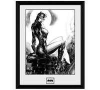 GB eye 16 x 12-Inch "DC Comics, Cat Woman" Framed Photograph, Multi-Colour