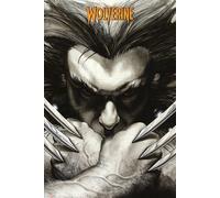 GB eye 61 x 91.5 cm Marvel Extreme Wolverine Claws Maxi Poster