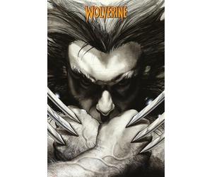 GB eye 61 x 91.5 cm Marvel Extreme Wolverine Claws Maxi Poster