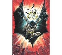 GB eye DC Comics Batman 61 x 91.5cm Maxi Poster