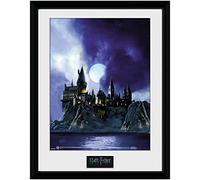 GB eye Harry Potter Hogwarts Painted 30 x 40cm Framed Collector Print