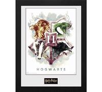 GB eye Harry Potter Hogwarts Water Colour 30 x 40cm Framed Collector Print