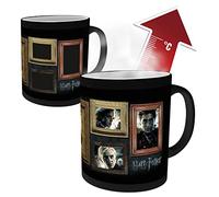 GB eye Harry Potter Portraits Heat Change Mug
