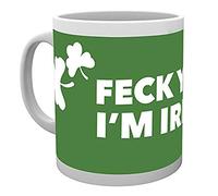 GB eye Ireland Feck Mug, Multi-Colour