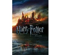 GB eye LTD, Harry Potter 7, Teaser, Maxi Poster, 61 x 91.5 cm, Paper, Multi-Coloured