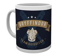GB eye LTD, Harry Potter, Team Quidditch, Mug, Wood, Multi-Colour, 15 x 10 x 9 cm
