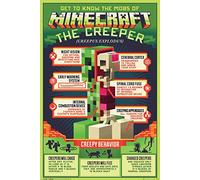 GB eye Minecraft Creepy Behaviour 61 x 91.5cm Maxi Poster