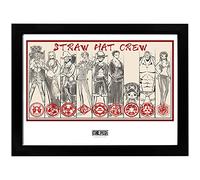 GB eye One Piece Straw Hat Crew 30 x 40cm Framed Collector Print