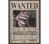 GB eye - ONE PIECE Wanted Blackbeard Wano Poster (52 x 38 cm)