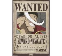 GB eye One Piece Wanted Whitebeard 61 x 91.5cm / 24.2 x 35.8 inches Maxi Poster - Shipped Rolled - Art Poster - Wall Posters - Posters & Prints