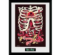 GB eye Rick & Morty Anatomy Park 30 x 40cm Framed Collector Print