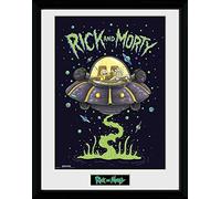 GB eye Rick & Morty Ship 30 x 40cm Framed Collector Print