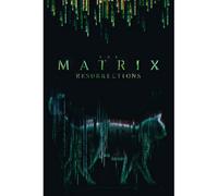 GB Eye The Matrix Cat 61 X 91.5Cm Maxi Poster