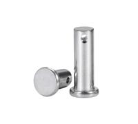 GB882 304 Stainless Steel M3 M4 M5 M6 M8 M10 M12 M14 M16 M18 M20 Flat Head Hole Axis Cylindrical Positioning Insert Dowel Pin(M14-1pcs,55mm)