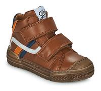 GBB Shoes (High-top Trainers) RIGOLO in Brown 12 kid