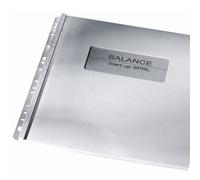 GBC FILESTRIP GBC PVC 10 Hole(100)