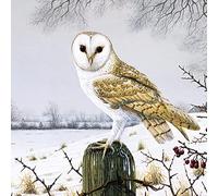 GBCC Charity Christmas Card Pack of 6 - Barn Owl in the Snow - Christmas Card Multipack - In Aid of UK Charities