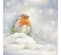 GBCC Charity Christmas Card Pack of 6 - Robin in the Snow - Christmas Card Multipack - In Aid of UK Charities - Majestic Robin