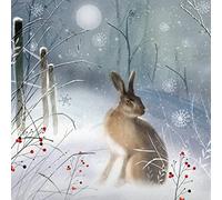 GBCC Charity Christmas Card Pack of 8 - Hare in the Snow 'Magical Hare' Design - Christmas Cards Multipack - In Aid of UK Charities