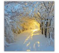 GBCC Charity Christmas Cards - Pack of 10 Premium Christmas Greeting Cards with Envelopes - Photographic Festive Forest in Snow at Sunrise - Supporting UK Charities - Paper House (PH-CHPT0048)