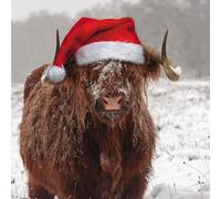 GBCC Charity Christmas Cards Pack of 6 - Charity Christmas Cards with a Santa Highland Cow Design - Eco-Friendly Xmas Cards Multipack with Envelopes