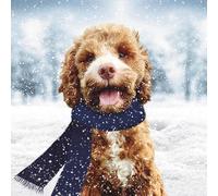 GBCC Charity Christmas Cards Pack of 6 - Cute Dog in the Snow - Premium Festive Greeting Cards Multipack with Envelopes - Supporting UK Charities