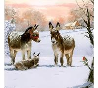 GBCC Charity Christmas Cards - Pack of 6 Premium Christmas Greeting Cards with Envelopes - Festive Donkeys in the Snow - Supporting UK Charities