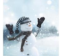 GBCC Charity Christmas Cards Pack of 6 - Premium Greeting Cards - Smiling Snowman Festive Design - Eco-Friendly
