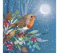 GBCC Charity Christmas Cards Pack of 8 - Festive Moonlit Robin - Premium Quality Greeting Cards Multipack with Envelopes - Supporting UK Charities