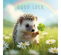 GBCC Good Luck Card for Her - Cute Hedgehog with Four Leaf Clover, Rainbow and Floral Design - Suitable for Mum, Sister, Daughter, Friend or Female Family Member
