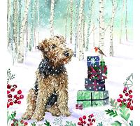 GBCC Ling Design Pack of 6 Premium Charity Christmas Cards - Festive Dog & Robin in the Snow - From The Great British Card Company - Supporting UK Charities