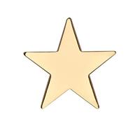 GBJUK Gold Star Pin Lapel Badge with Butterfly Clasp Back