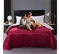 GBYcLyw Waterproof Queen Size Blankets for Bed 200x230cm, Leakproof Squirt Blanket for Couch, Waterproof Reversible Mattress or Furniture Protector Large Size for Twin, Queen, King Beds(Red)