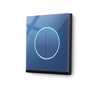 GBYUHAIJUN Touch Light Switch,Smart Light Switches Standard 2 Gang 1 Way Wall Touch Lamp Point Switch, Wall Power Reset Switch, 4-color Tempered Glass Panel(Blue)