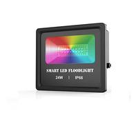 GCHNow Ruiziliang Outdoor RGB Flood Light LED Smart Floodlight 24W 110V/220V Bluetooth APP Group Control IP66 Waterproof Garden Spotlight Stage Lighting(24W 220V)