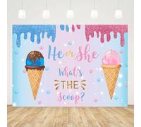 GCIREC 10x7ft Pink and Blue Ice Cream Cone Backdrop He or She What is the Scoop Gender Reveal New Photography Background Birthday Party Decoration Banner Photo Booth Props