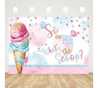 GCIREC 12x10ft Pink Ice Cream Cone Backdrop He or She What is the Scoop Gender Reveal New Photography Background Birthday Party Decoration Banner Photo Booth Props