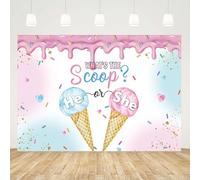 GCIREC 15x10ft Pink and Light Blue Ice Cream Cone Backdrop He or She What is the Scoop Gender Reveal New Photography Background Birthday Party Decoration Banner Photo Booth Props