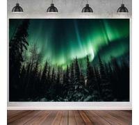 GCIREC 9x6ft Northern Lights Backdrop Green Aurora Borealis Forest Backdrop Natural Wonderland Photography Background Christmas Birthday Party Decoration Banner Photo Booth Props