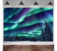 GCIREC 9x6ft Northern Lights Backdrop Green Purple Aurora Borealis Forest Backdrop Natural Wonderland Photography Background Christmas Birthday Party Decoration Banner Photo Booth Props