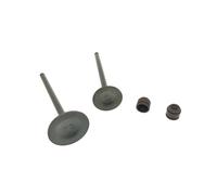 GCLANXI For Honda CBF125 CBF 125 CB125F XR125L GLR125 GLH125 GR125 Valve Intake Exhaust Stem Valve Oil Seal