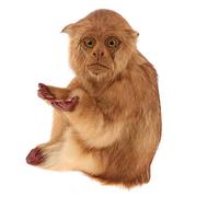 Gcljlmy Artificial Mokey Statue Vivid Arts Ornament Animal Figurine for Yard Garden Zoo