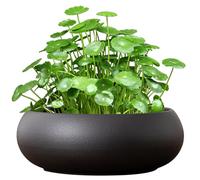 Gcroet 1PC Lotus Bowl Planter, 7.4 Inch Ceramic Lotus Flower Bowl, Non Slip Hydroponic Planter for Water Lily Daffodil Succulent Fish Tank Office Home.