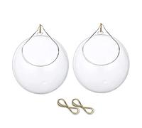 Gcroet 2PCS Hanging Glass Terrarium Succulents Planter Globe Hanging Plants Glass Terrarium Container Air Fern Plants Holder Vase Hanger with Big Opening 10cm