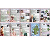 GCSE English - Lord of the Flies Information Posters - A3 29.7 x 42 cm