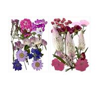 GDFHBD 2 Sets Of Dried Flower Specimens, Diy Handicraft Materials, Plant Decorations, And Can Make Scrapbooks, Coasters, Murals.